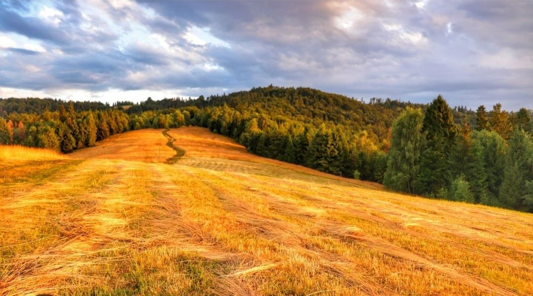 Domek w górach przy rzece noclegi wakacje Beskidy Brenna,Ustroń ,Wisła