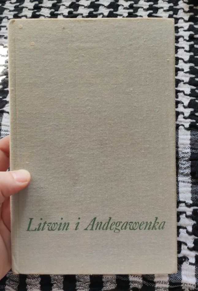 Stefan M. Kuczyński - Litwin i Andegawenka