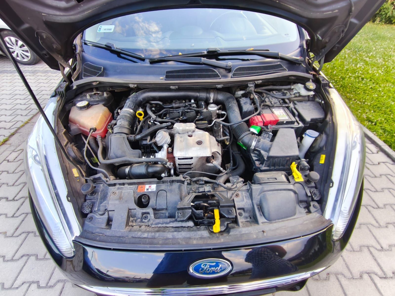 Ford Fiesta 1.0 ecoboost 2013r. Po wymianie rozrządu