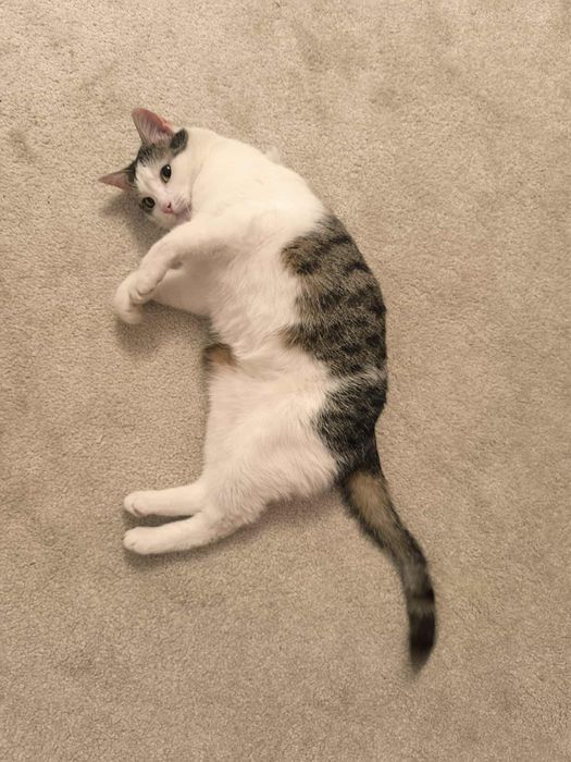 Dlaczego nikt Jej nie chce?..