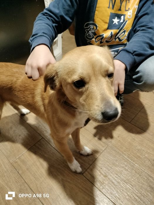 Dou para adoção responsável um menino com  1 ano, tem vacinas em dia