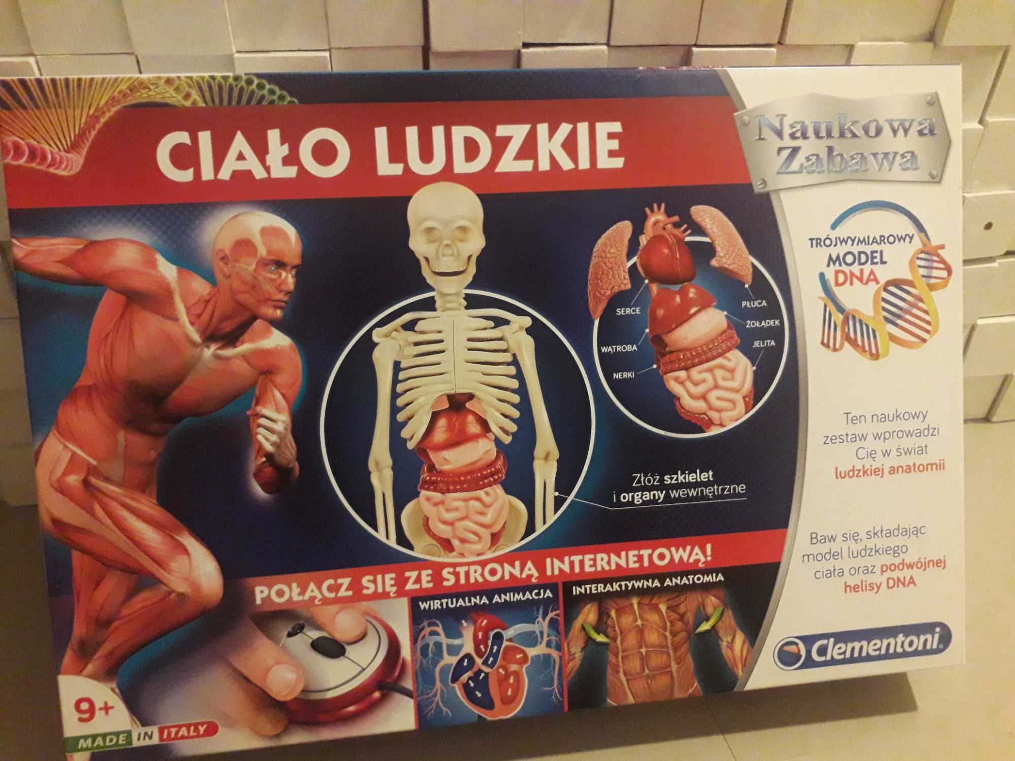 Clemonti CIAŁO LUDZKIE duży zestaw