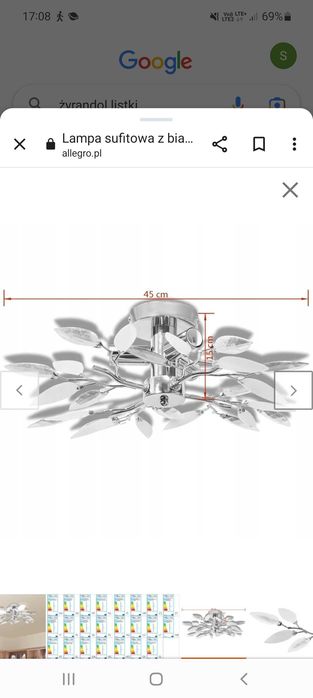 Zerandole 2 szt  listki