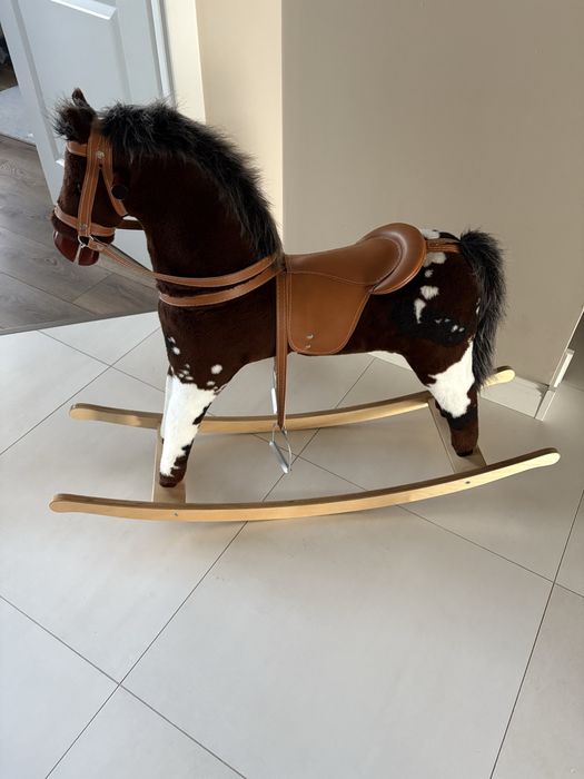 Średni koń na biegunach