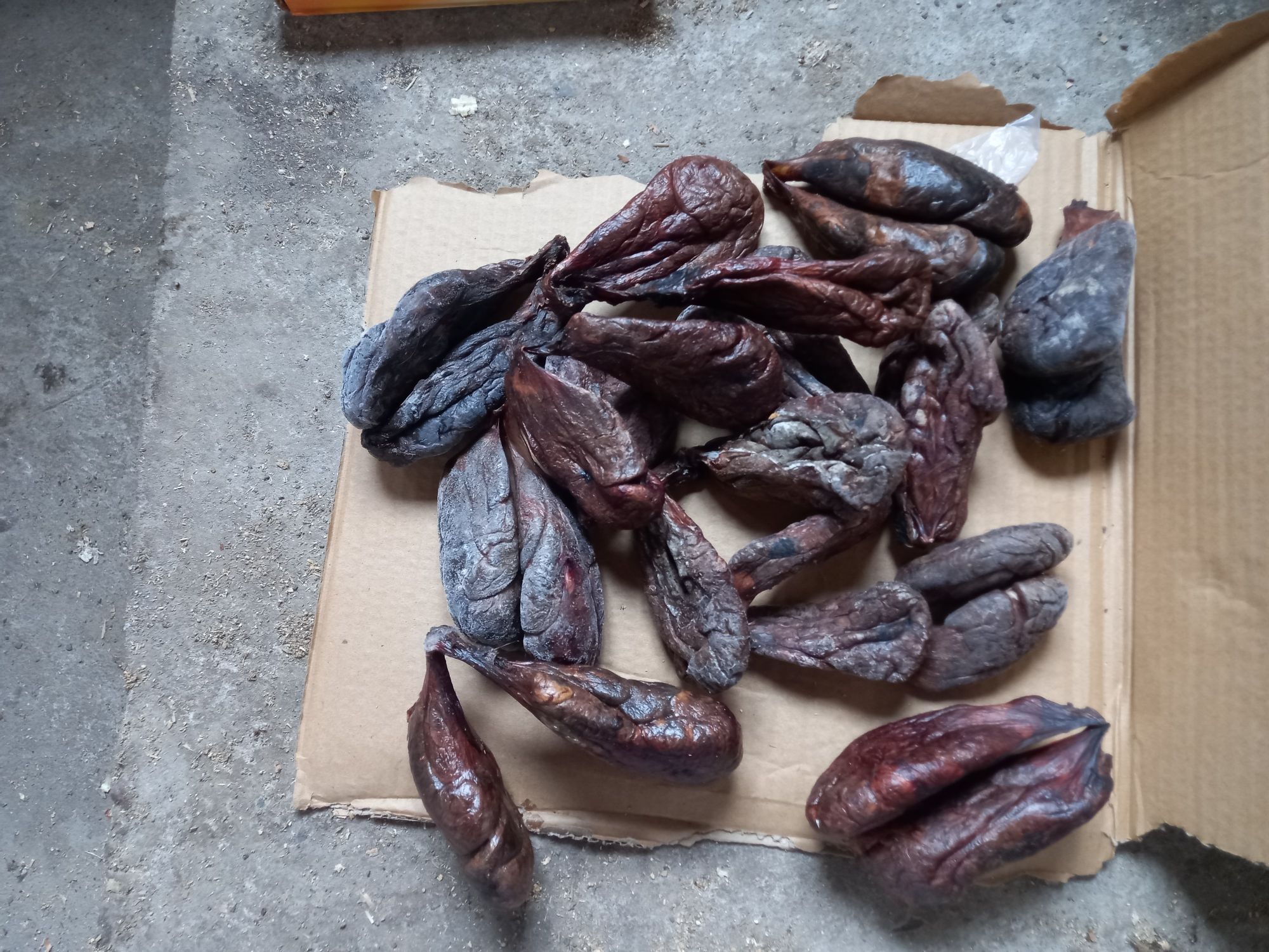 Продам струю бобра 6 грн