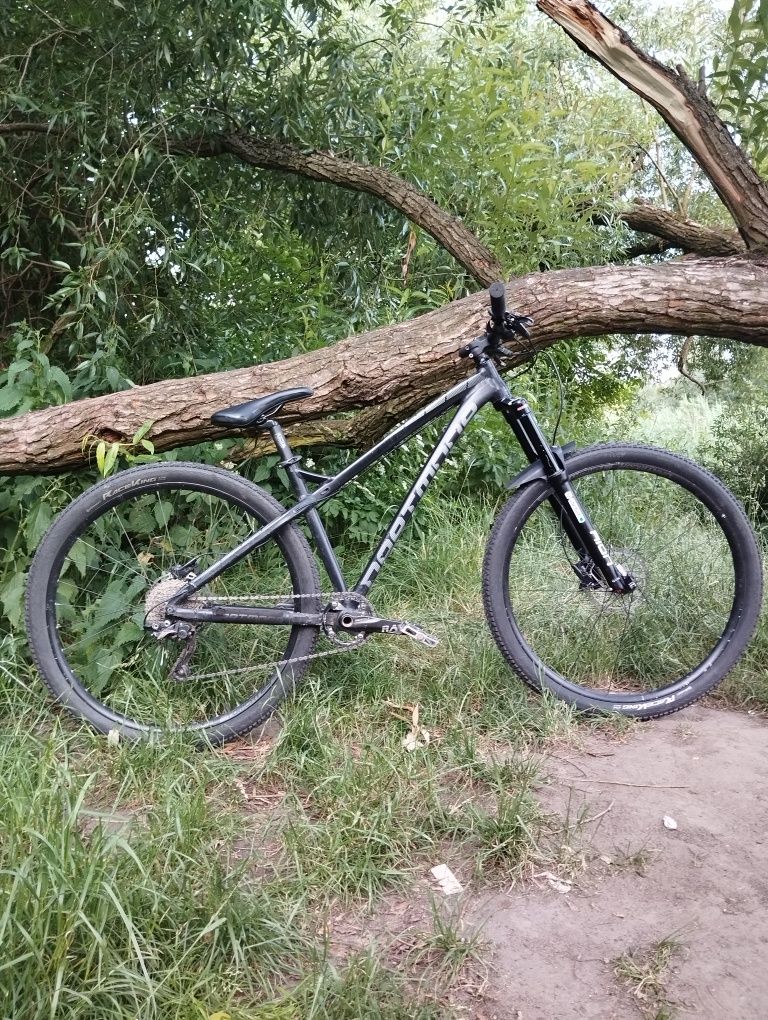 Rower Dartmoor Primal S 29 Hornet