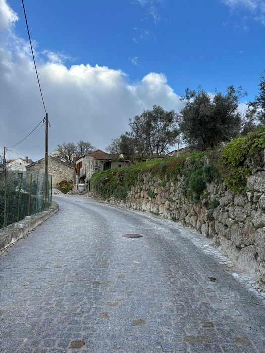 Terreno 5 mil m2 - Algodres