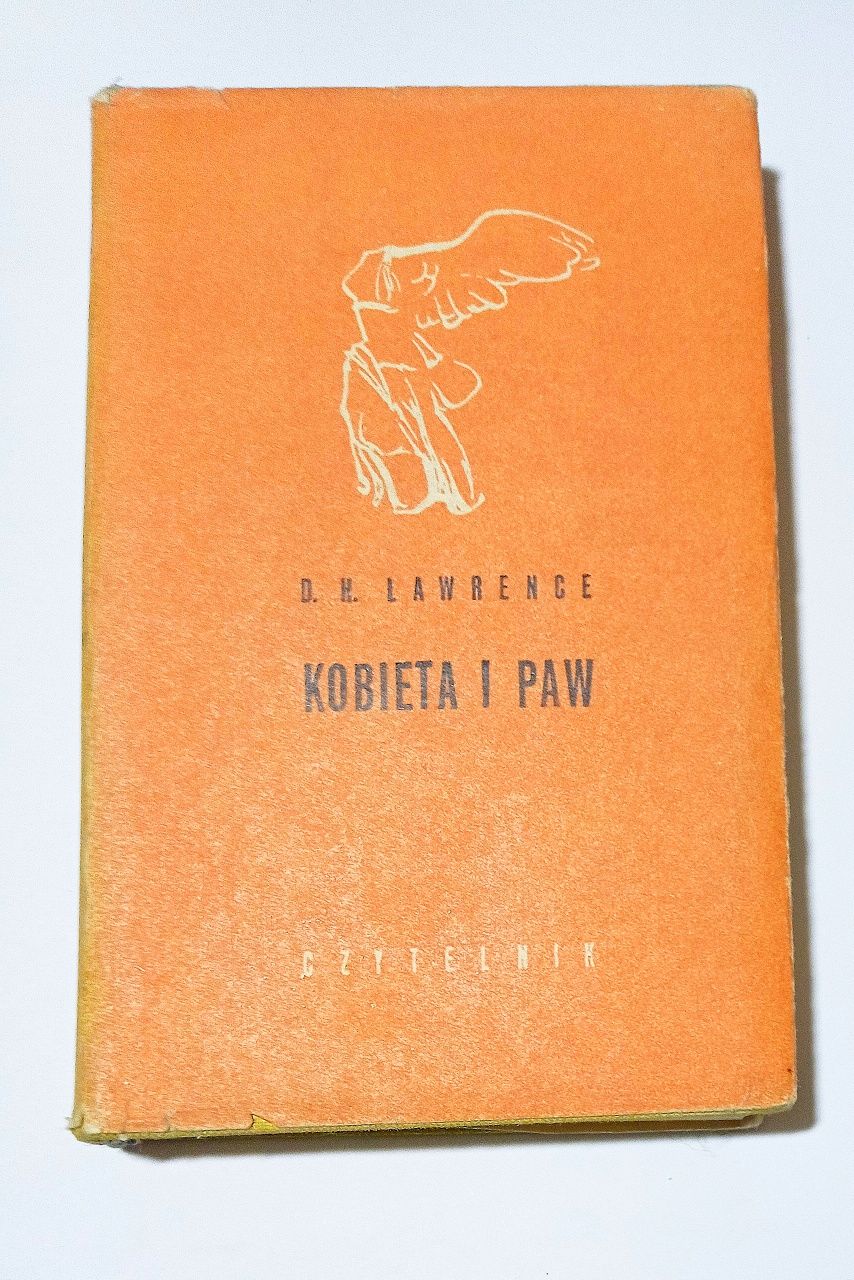 Kobieta i paw lawrence