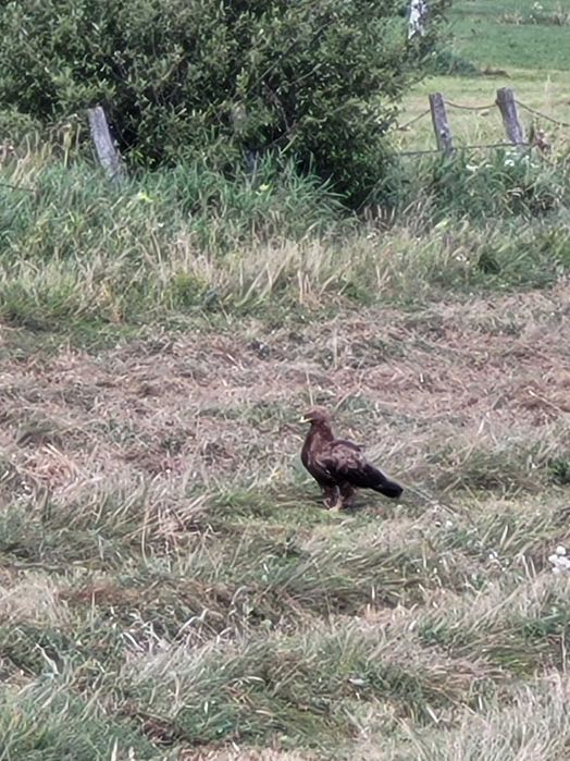 Ziemi rolna na Mazurach Szuć 3.7ha
