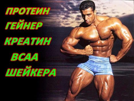 Для МЫШЦ! Протеин Activevites 2.5кг Whey Protein 90+ПОДАРОК! Есть ВСАА