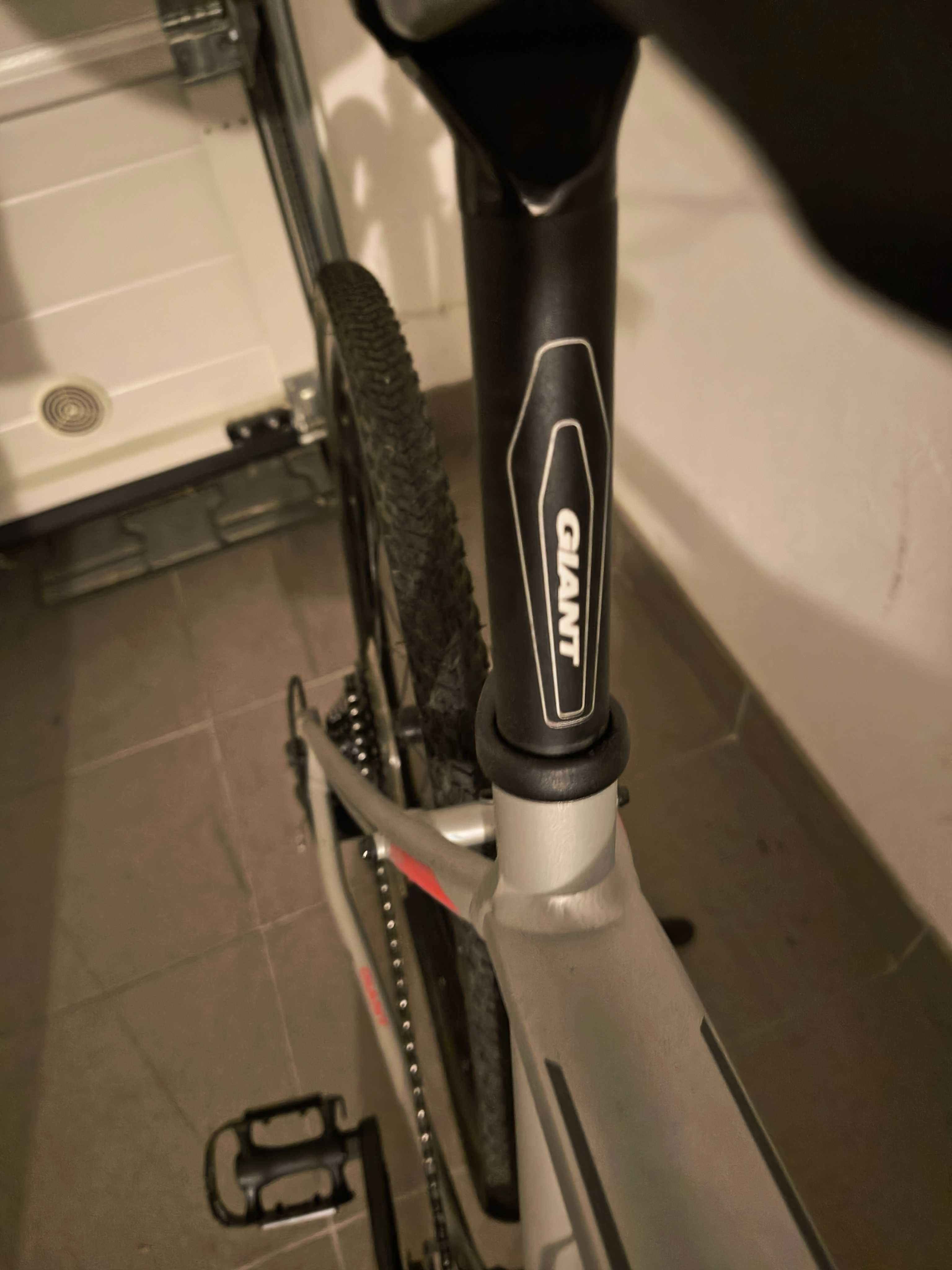 Rower Giant  Roam 2