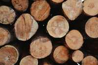 Drewno - kłody (1-3m), zrębka