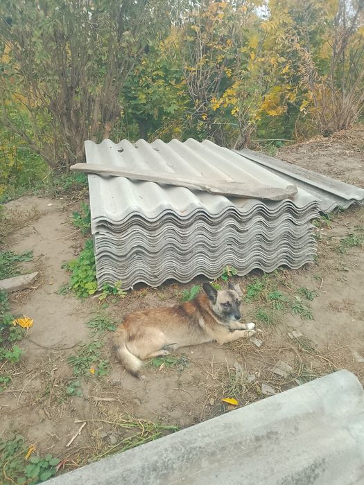 У нас есть доставка!!