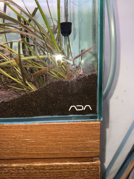 Aquario ada extra-claro 90x45x45