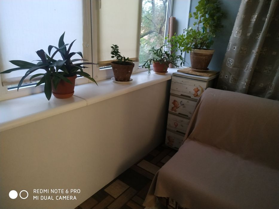 Срочно сдам квартиру в Приморском районе!Можно с собачкой!