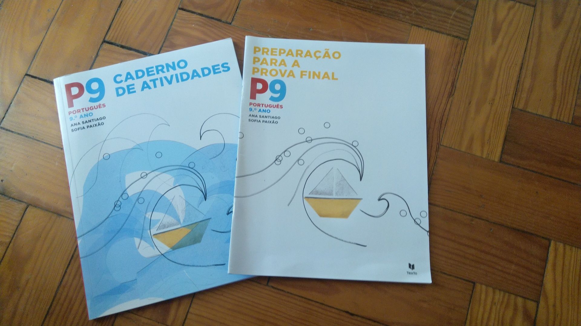 Livros 9° ano actualizados (4€ cada)