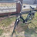Rower Holenderski Batavus Mambo 7