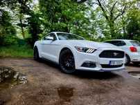 Ford Mustang Ford MUSTANG 2.3 (317)