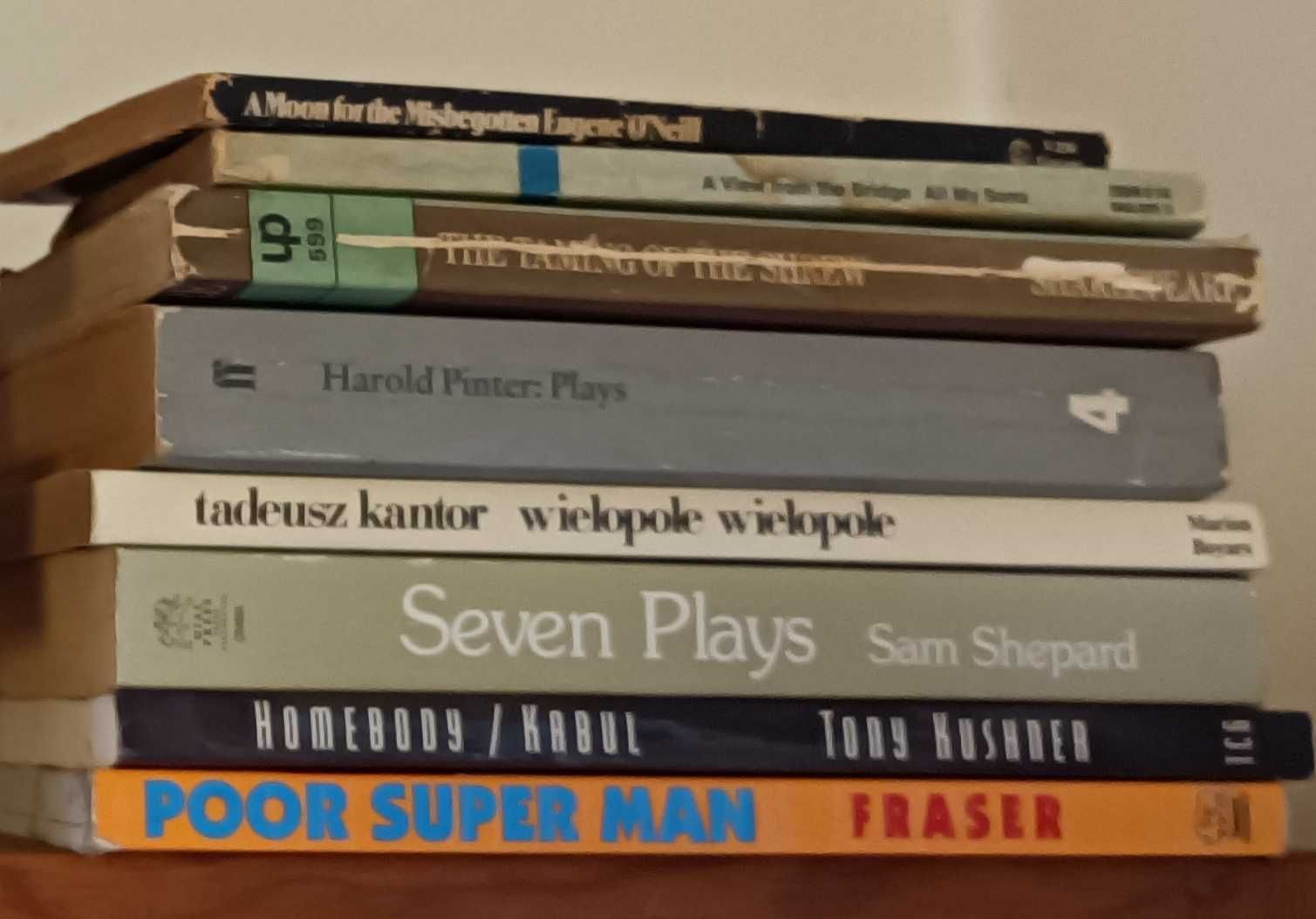 Livros em inglês teatro e outros temas
