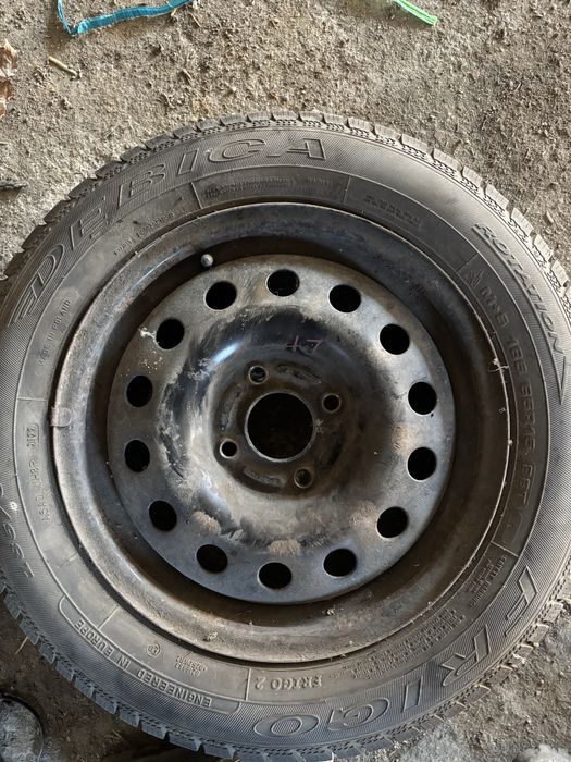 Koła zimowe ford dębica frigo 2