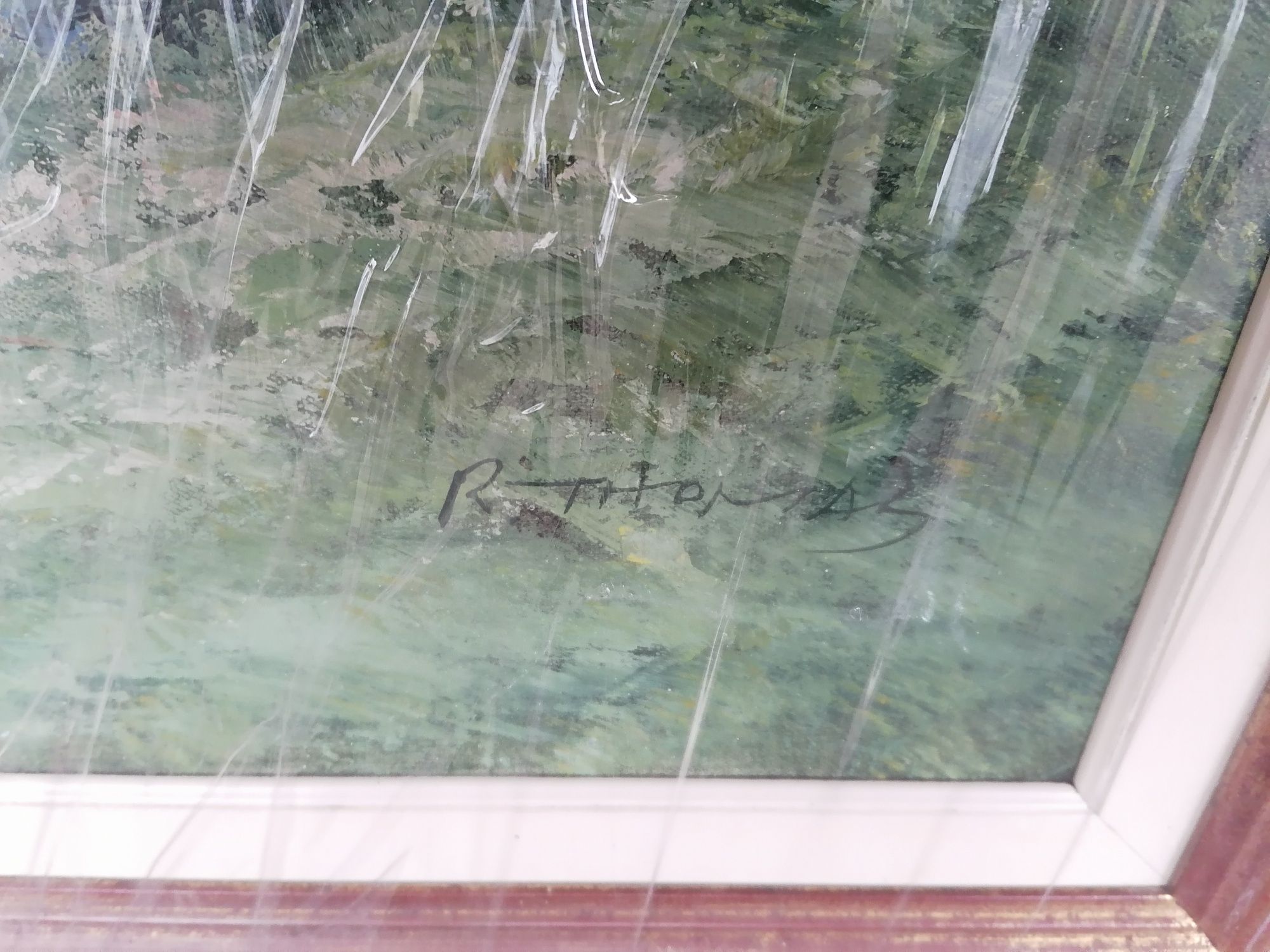 Pinturas a óleo, assinadas e emoldurados