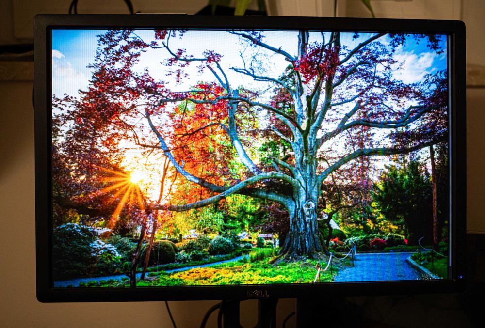 Monitor Dell 2412m! 16:10! 1920x1200 Polecam!