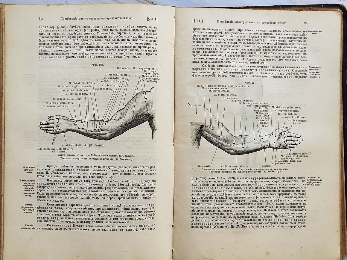 Физиология человека 1898 год ( Доктор L.LANDOIS )