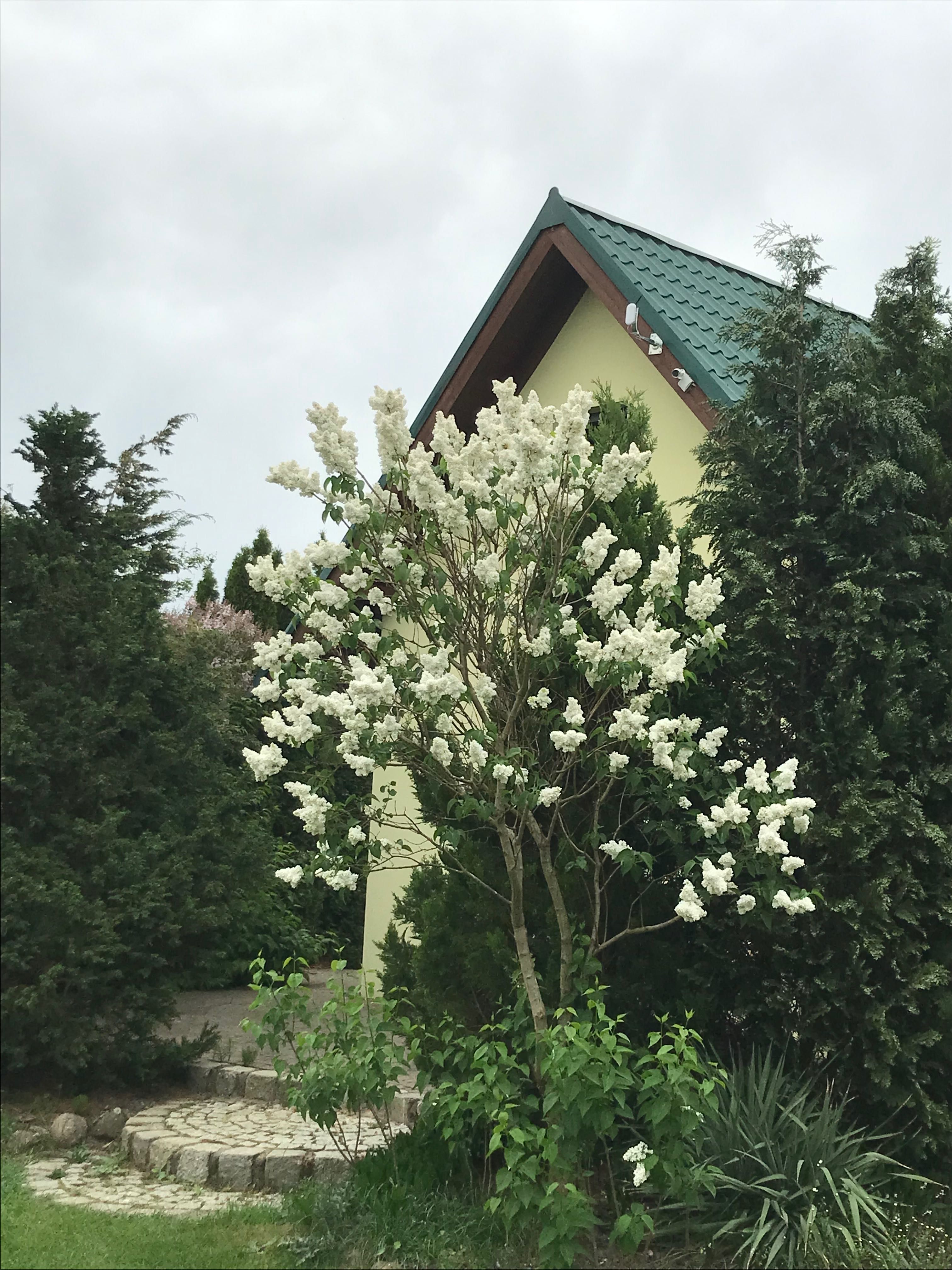 Noclegi, Agroturystyka Ostoja-Uroczysko w Dolinie Baryczy