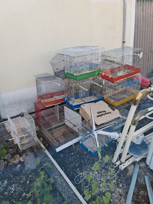 Gaiolas pra ceder ao trocar por aves
