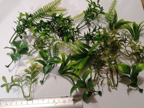 Diorama,liście tropikalne