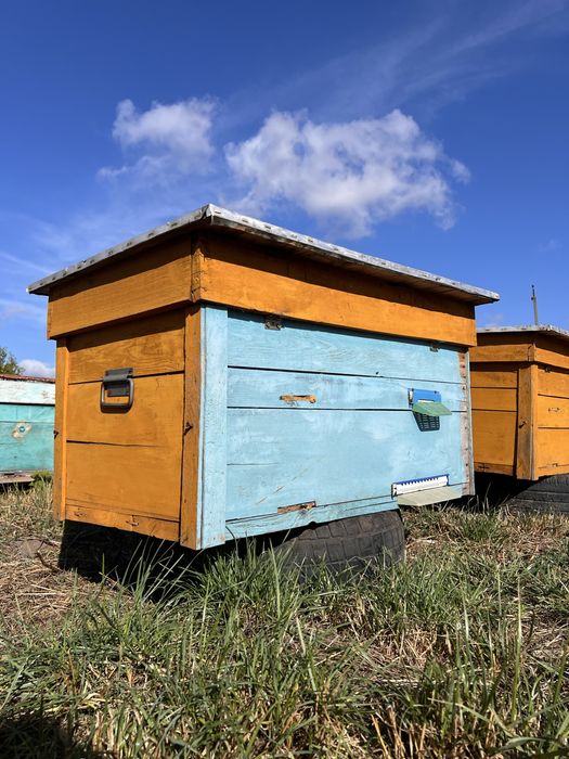 Вулики дадан на 22 рамки як нові