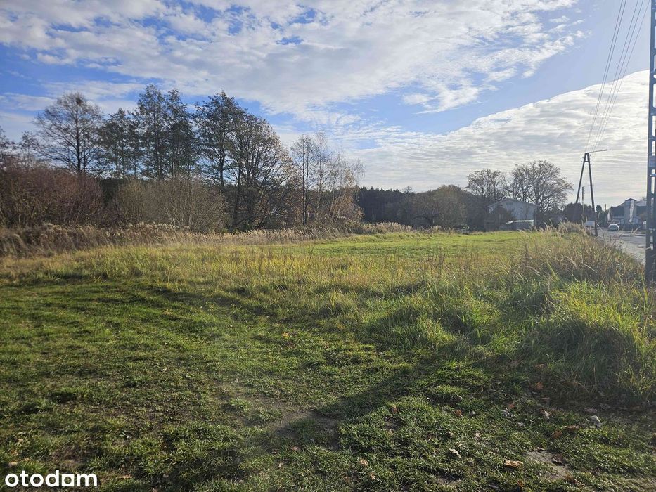 Sprzedam działkę rolno-budowlaną – Królewska Wola, gm. Międzybórz