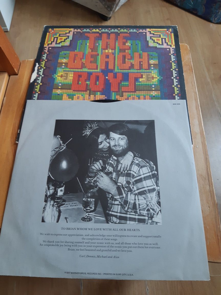 Winyl  " The Beach Boys Love You "