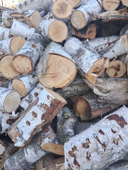 Drzewo,drewno opałowe,opał,kominkowe dąb, brzoza,akacja,sosna