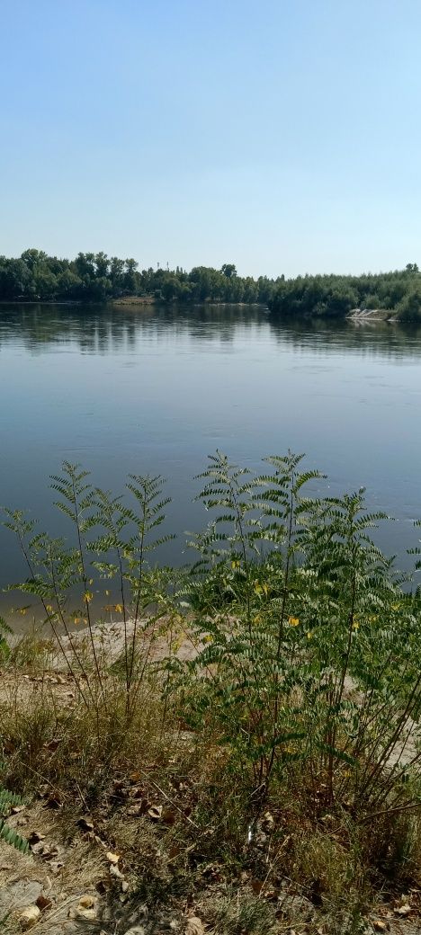 Відпочинок біля річки Десна