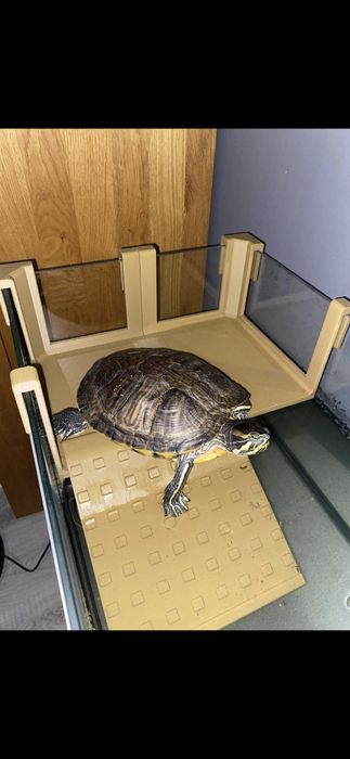 Wyspa 3D dla żółwia – wsuwana do akwarium