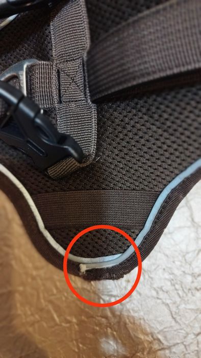 Szelki/uprząż dla psa Curli model Belka rozm. XL