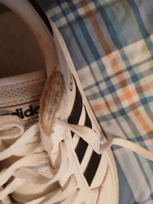Buty firmy Adidas