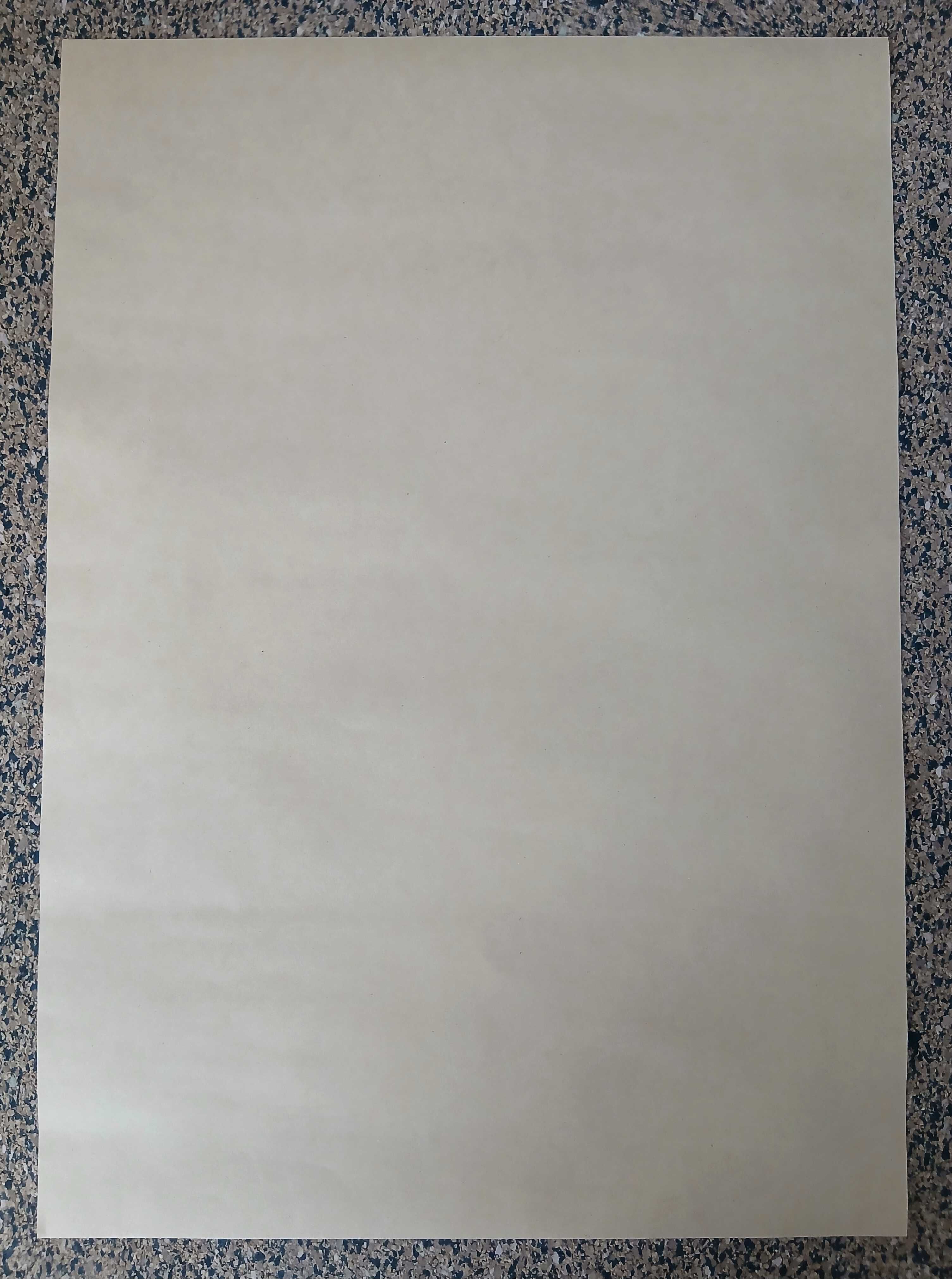 Poster - Phonograph Retro Instrument (papel kraft, 30x42 cm)