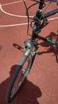 Rower schauff el paso