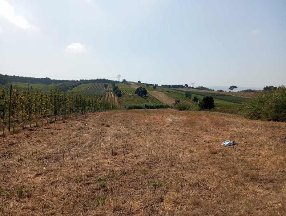 Terreno agrícola