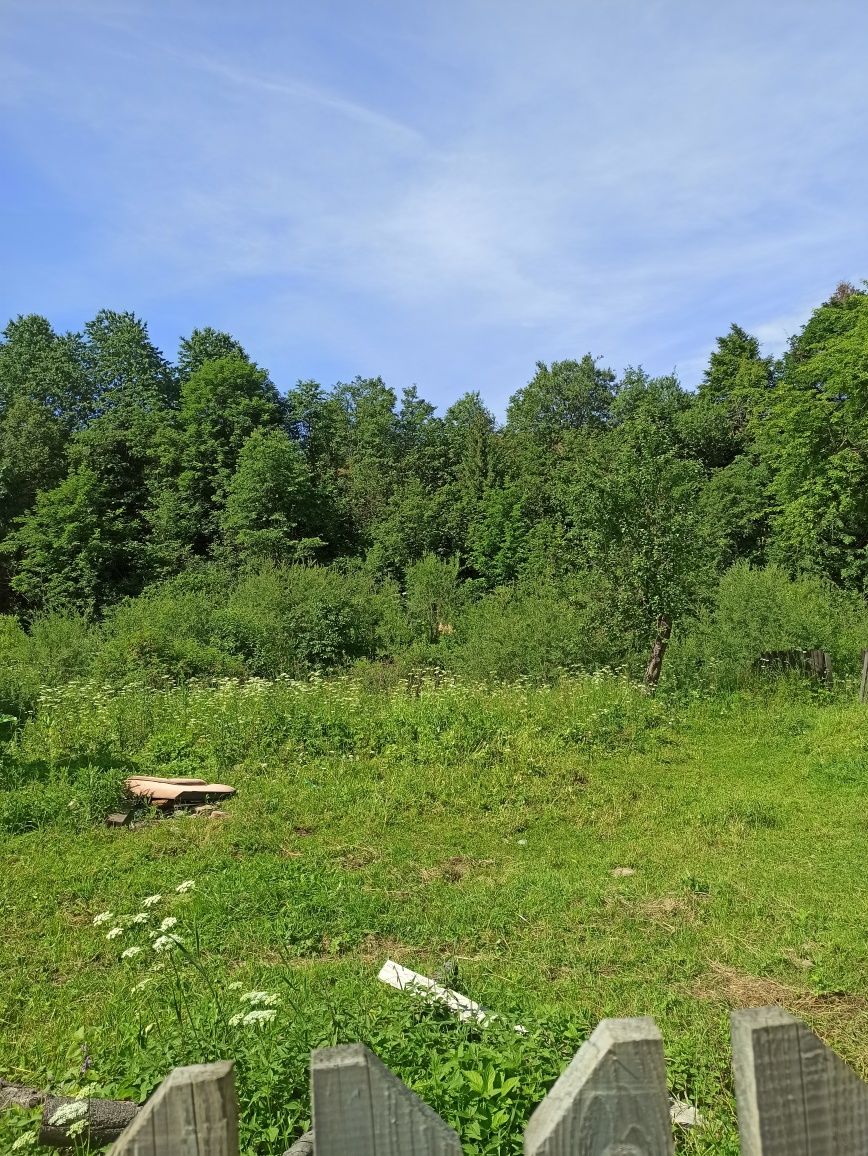 Будинок 120 м.кв. і земельна ділянка в Карпатах
