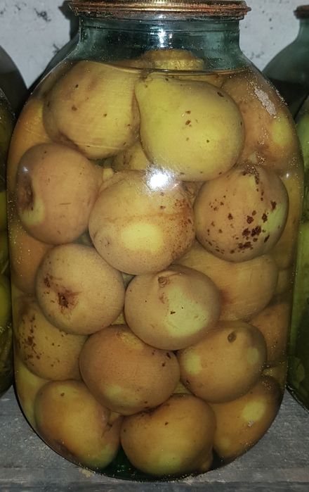 Эко продукт  лето 2025
