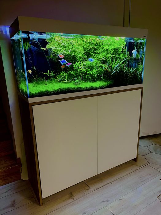 Akwarium OptiGlass 250L z szafką, CO₂, i pełnym osprzętem