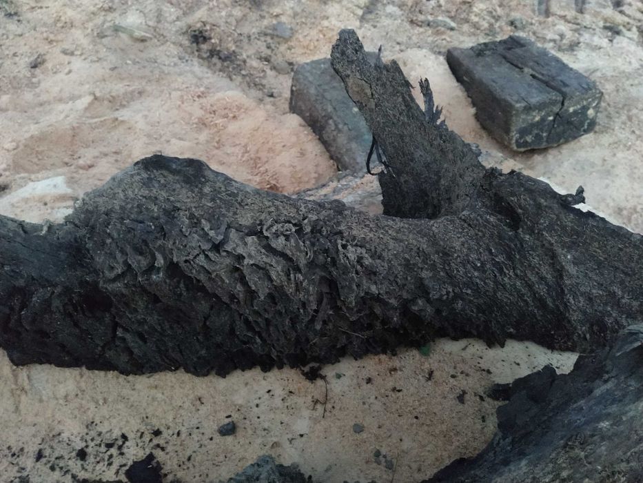 Korzeń do akwarium czarny dąb