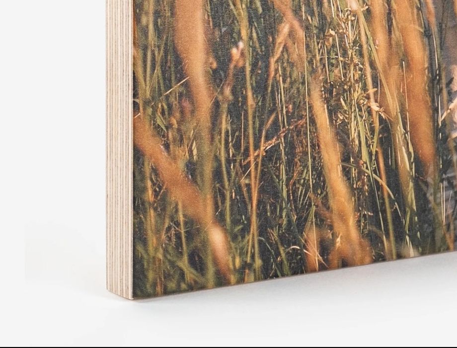 Impressão fotografias/imagens em Madeira