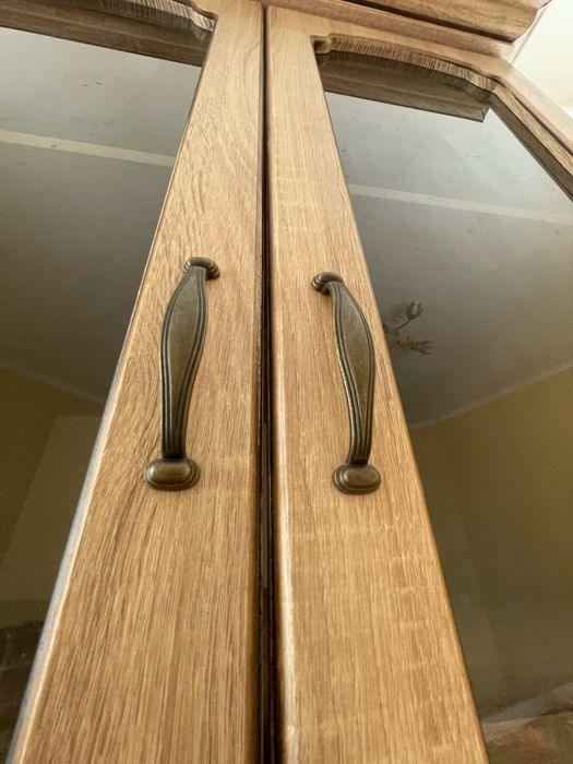 Книжкова шафа вітрина