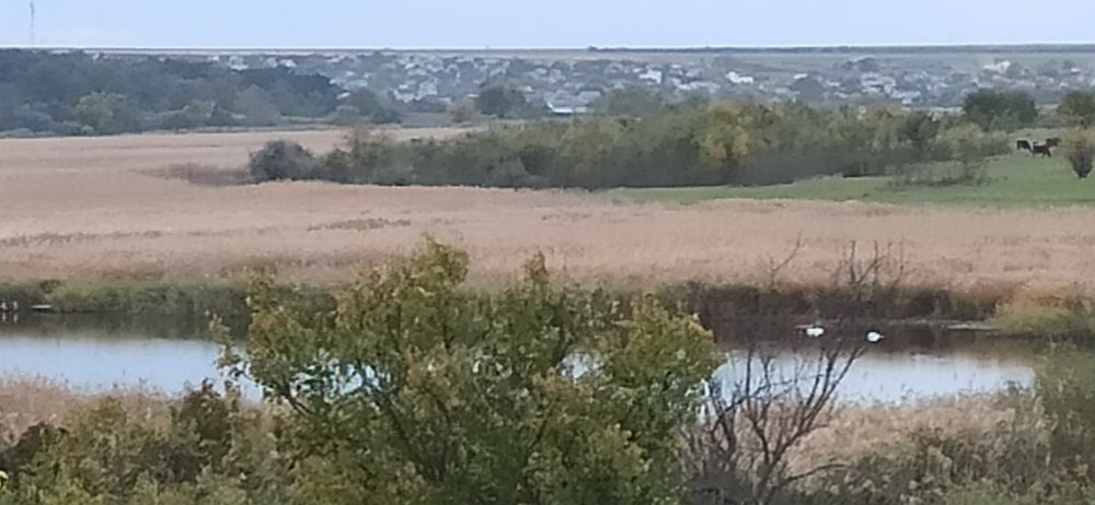 Продам будинок Калинівка