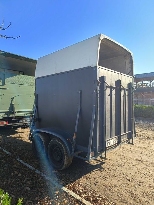 Przyczepa do przewozu koni