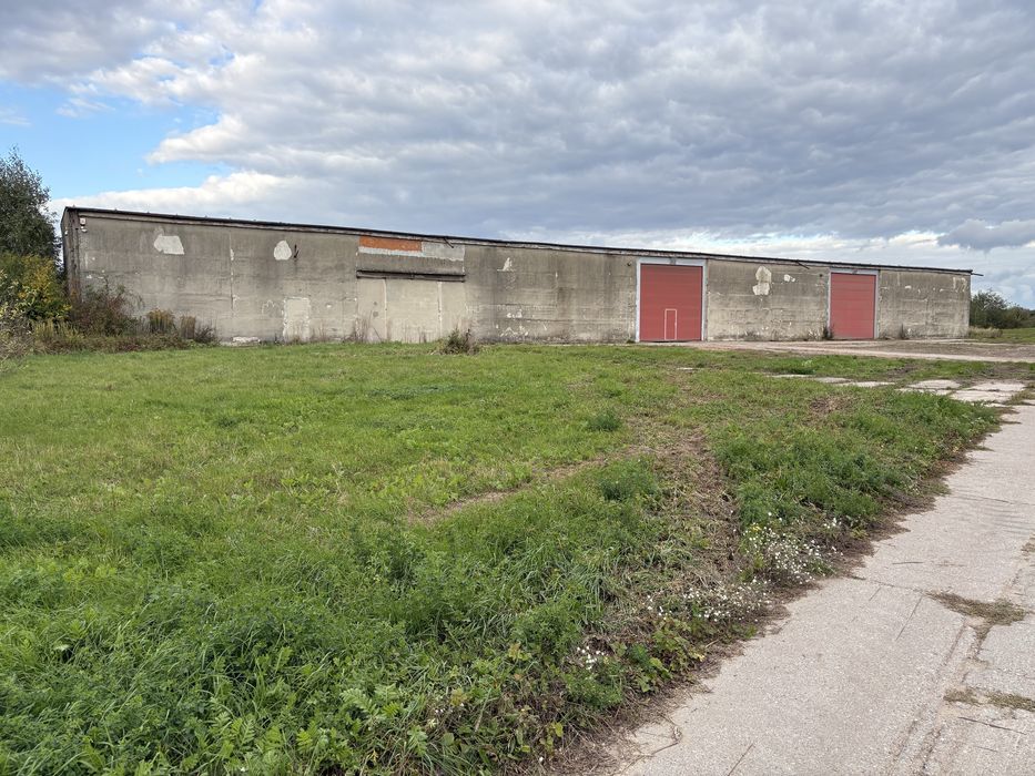 Hala 1040 m2, Bieniów, Gmina Żary